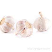 Culinary Red Garlic Price For Sale
